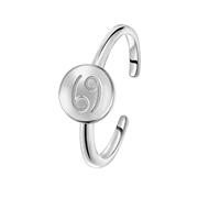 Zilveren ring disc sterrenbeeld (1055728)
