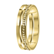 Stalen ring goldplated 2rij met light colorado (1058713)