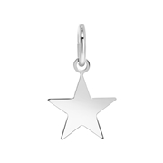 Zilveren hanger ster (1059655)