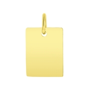 Zilveren hanger gold tag Mix&Match ketting/armband (1059925)