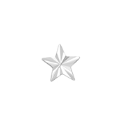 Zilveren oorknop ster (1059980)