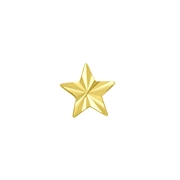 Zilveren goldplated oorknop ster (1059981)