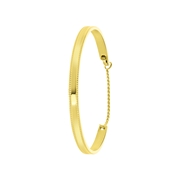 Stalen armband bangle gold dots graveerbaar (1060183)
