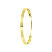 Stalen armband bangle gold graveerbaar (1060184)