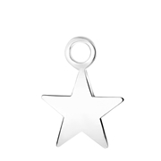 Zilveren oorbelhanger ster Mix&Match (1060824)