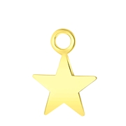 Zilveren oorbelhanger gold ster Mix&Match (1060825)
