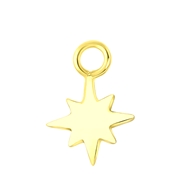 Ohrringanhänger, 925 Silber, vergoldet, Stern der Galaxis, Mix & Match (1060833)