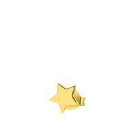 Ohrstecker, 925 Silber, vergoldet, Star (1061884)