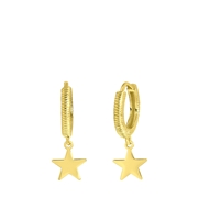 Zilveren goldplated oorbellen ster (1062103)