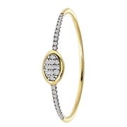 14 karaat geelgouden ring met 31 diamanten 0,05ct ovaal. (1062824)