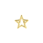 Stalen goldplated slider ster (1063039)