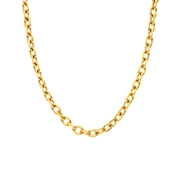 Stalen goldplated ketting chunky (1071302)