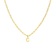 Stalen goldplated ketting closed forever letter C (1071416)