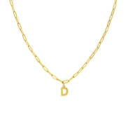 Stalen goldplated ketting closed forever letter D (1071417)