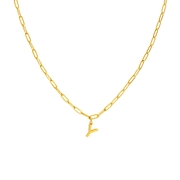 Stalen goldplated ketting closed forever letter Y (1071438)