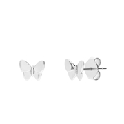 Zilveren oorknoppen vlinder (1071544)