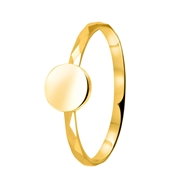 14 Karaat geelgouden ring disc (1048076)