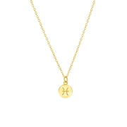 Vergoldete Silberkette mit Sternzeichen-Anhänger (1055723)