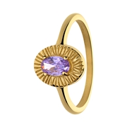 Stalen goldplated vintage ring bewerkt met paars zirkonia (1069959)