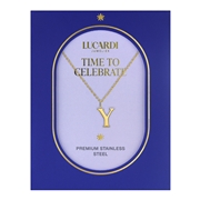 Stalen goldplated ketting letter Y (1070393)