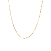 Stalen goldplated ketting closed forever 2mm (1070607)