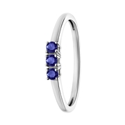 14 Karaat witgouden ring blauwe saffier (1070653)