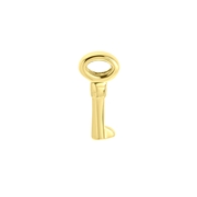 Stalen goldplated slider sleutel (1063051)